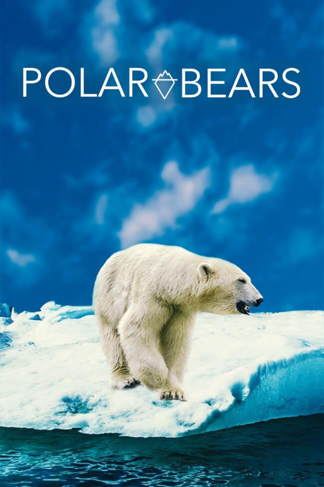 Streama: Polar Bears